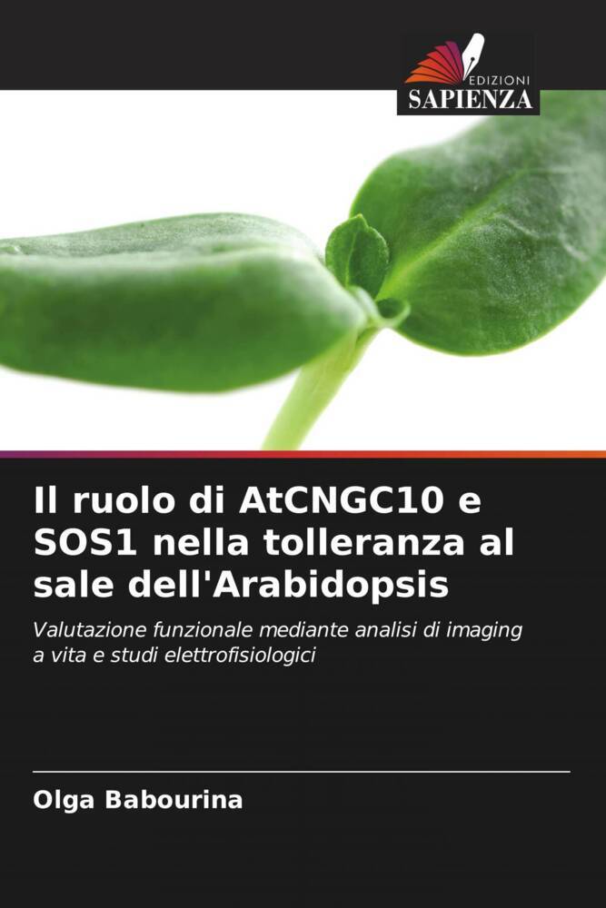 Il ruolo di AtCNGC10 e SOS1 nella tolleranza al sale dell'Arabidopsis