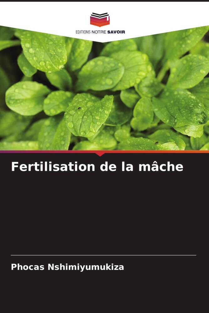 Fertilisation de la mâche