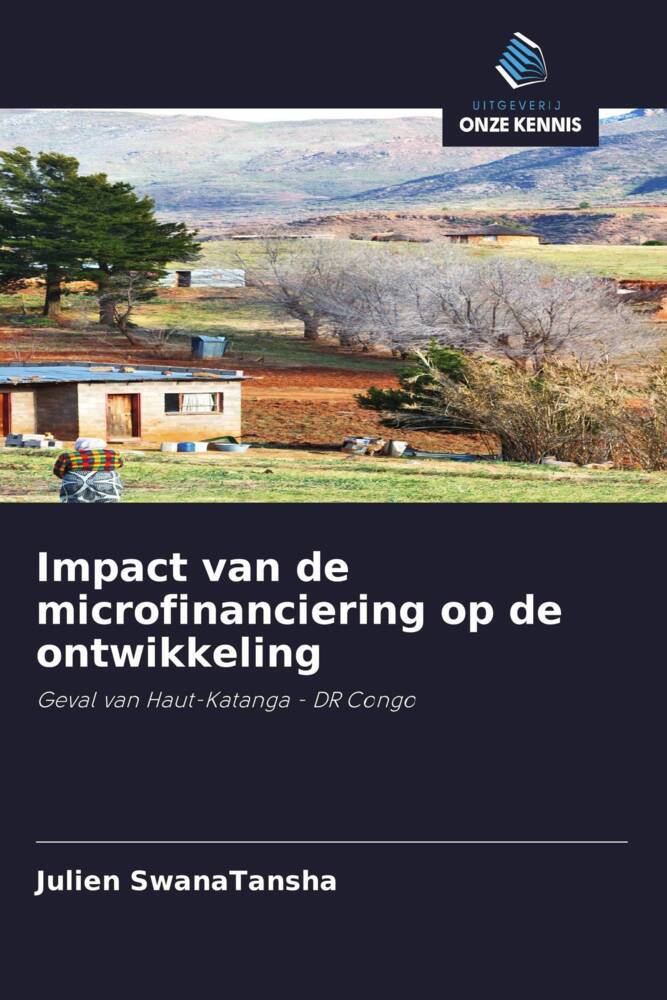 Impact van de microfinanciering op de ontwikkeling