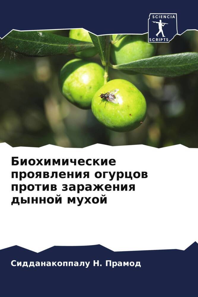 Biohimicheskie proqwleniq ogurcow protiw zarazheniq dynnoj muhoj