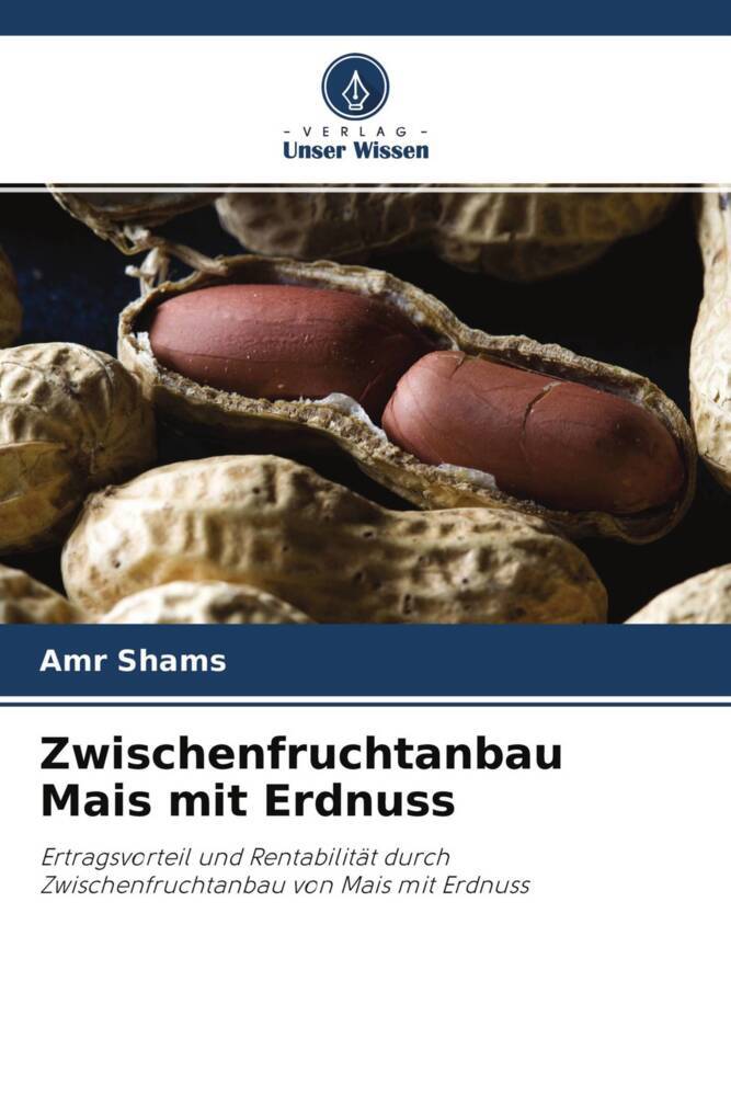 Zwischenfruchtanbau Mais mit Erdnuss