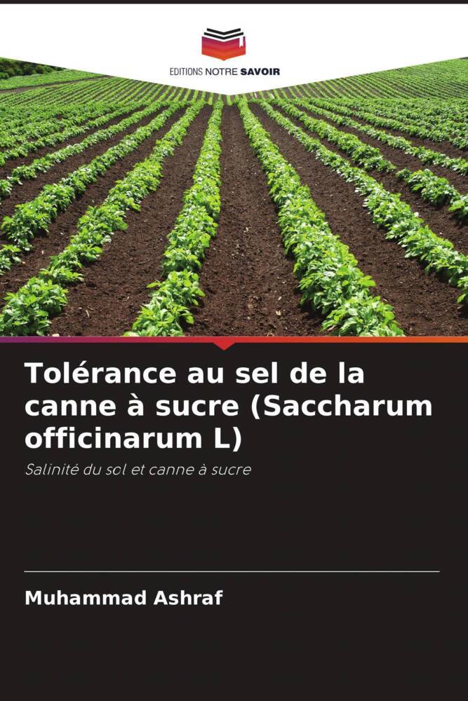 Tolérance au sel de la canne à sucre (Saccharum officinarum L)