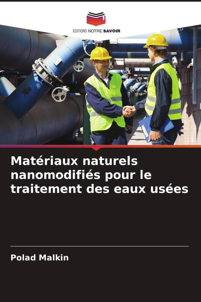 Matériaux naturels nanomodifiés pour le traitement des eaux usées
