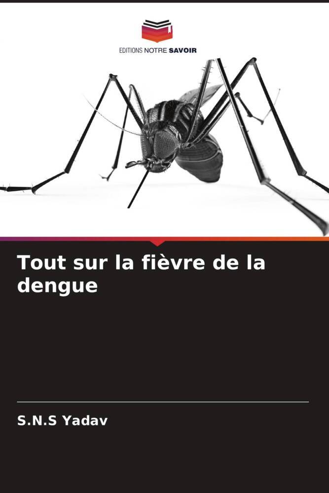Tout sur la fièvre de la dengue
