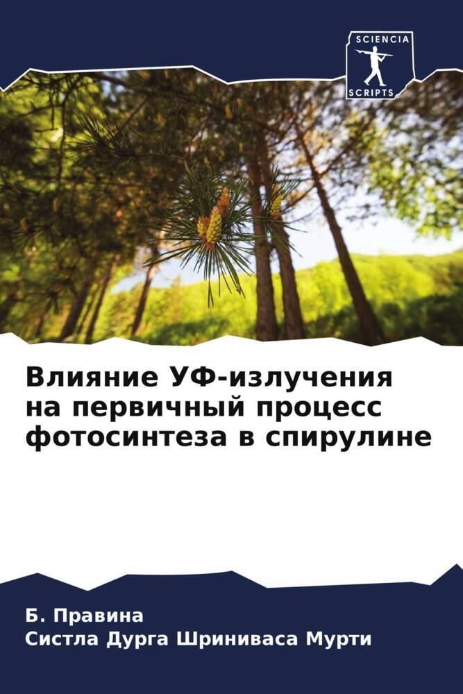 Vliqnie UF-izlucheniq na perwichnyj process fotosinteza w spiruline