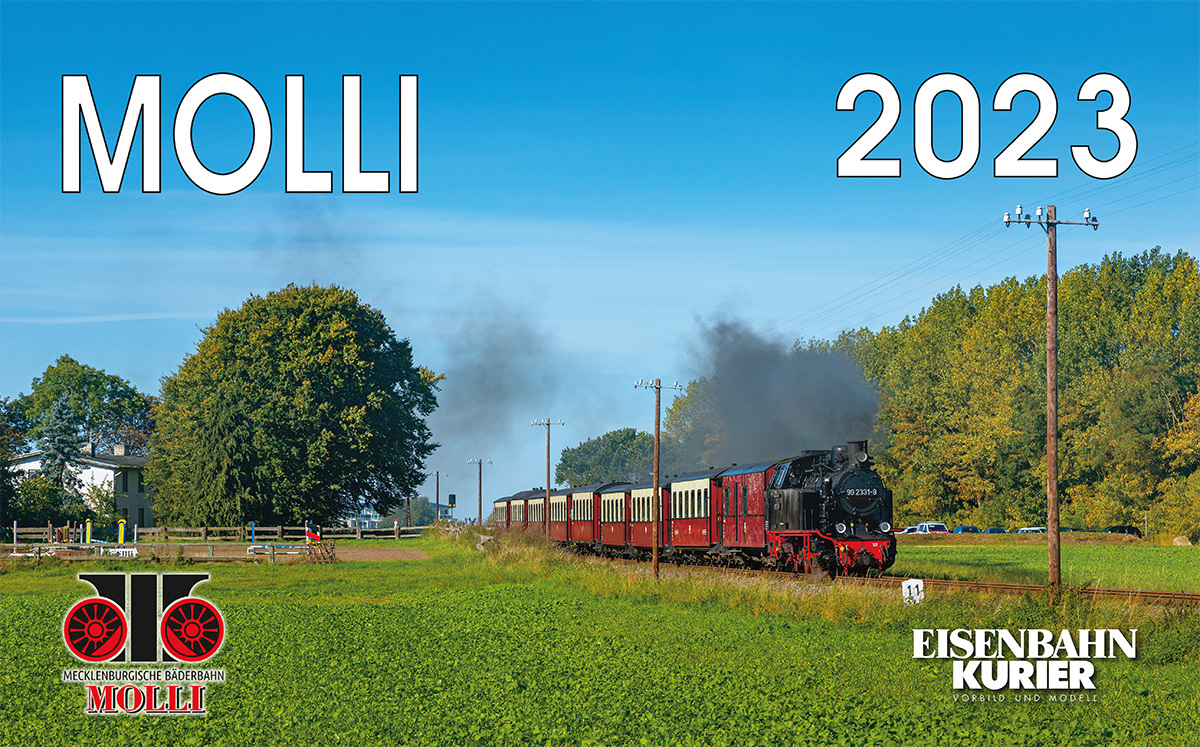 MOLLI 2023