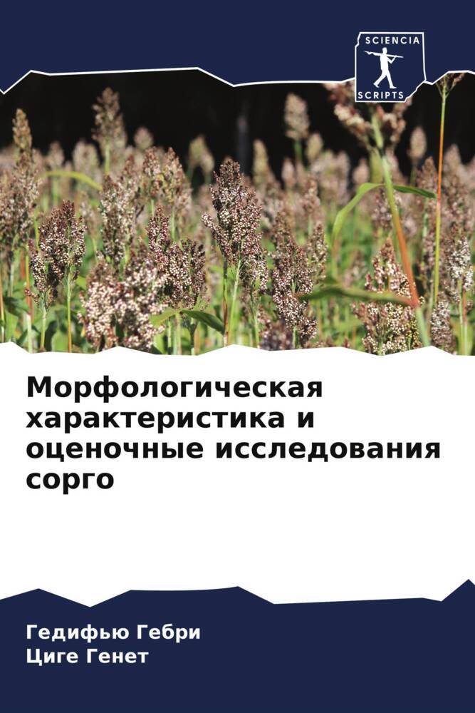 Morfologicheskaq harakteristika i ocenochnye issledowaniq sorgo
