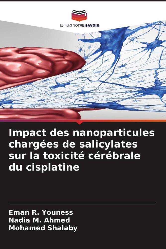 Impact des nanoparticules chargées de salicylates sur la toxicité cérébrale du cisplatine