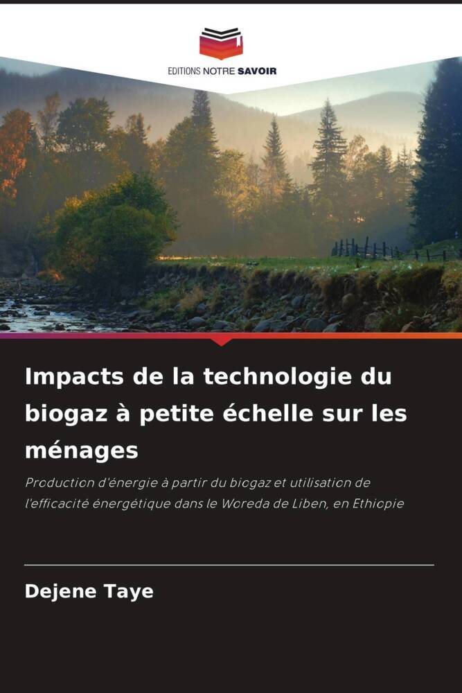 Impacts de la technologie du biogaz à petite échelle sur les ménages