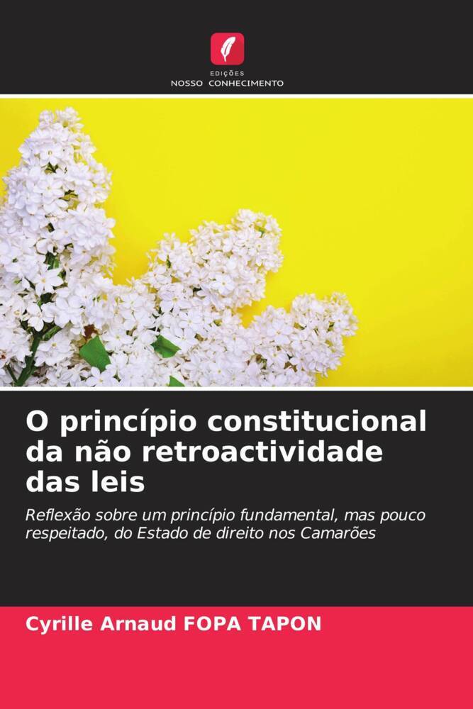 O princípio constitucional da não retroactividade das leis