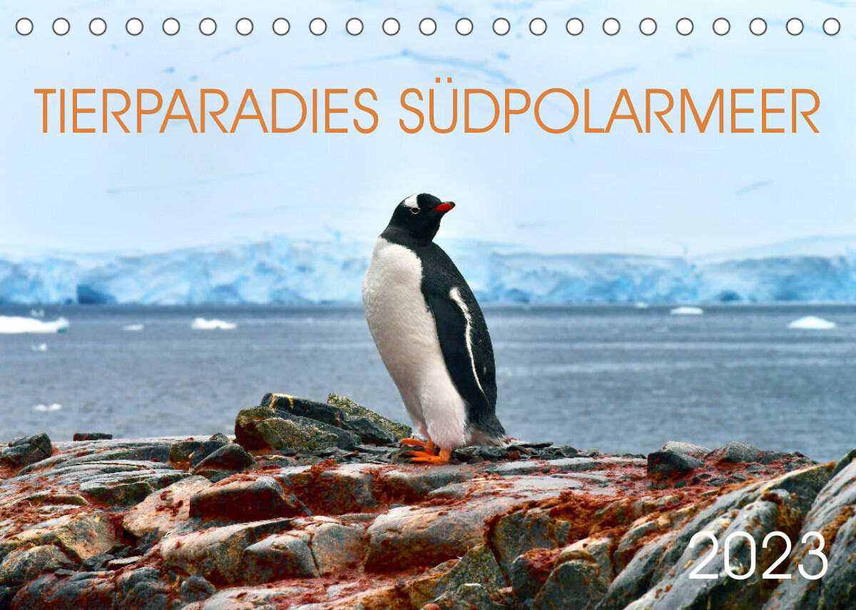 Tierparadies Südpolarmeer (Tischkalender 2023 DIN A5 quer)