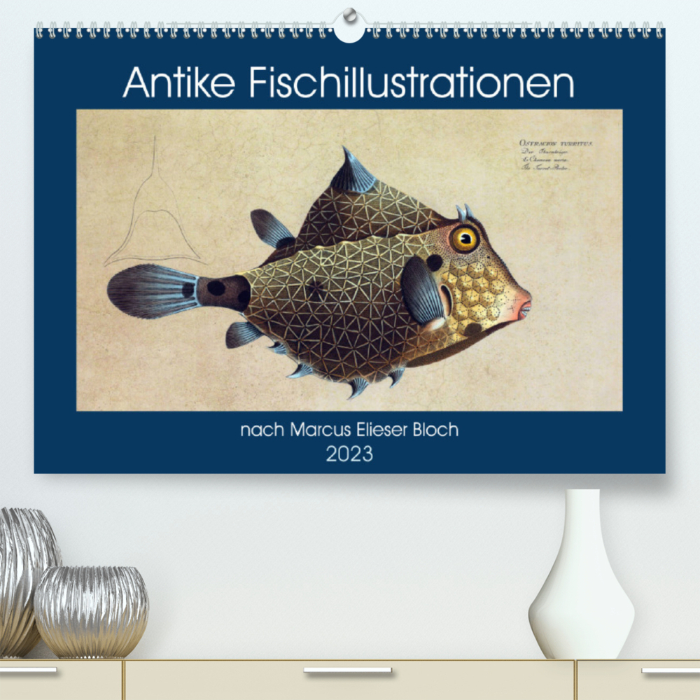 Antike Fischillustrationen nach Marcus Elieser Bloch (Premium, hochwertiger DIN A2 Wandkalender 2023, Kunstdruck in Hochglanz)