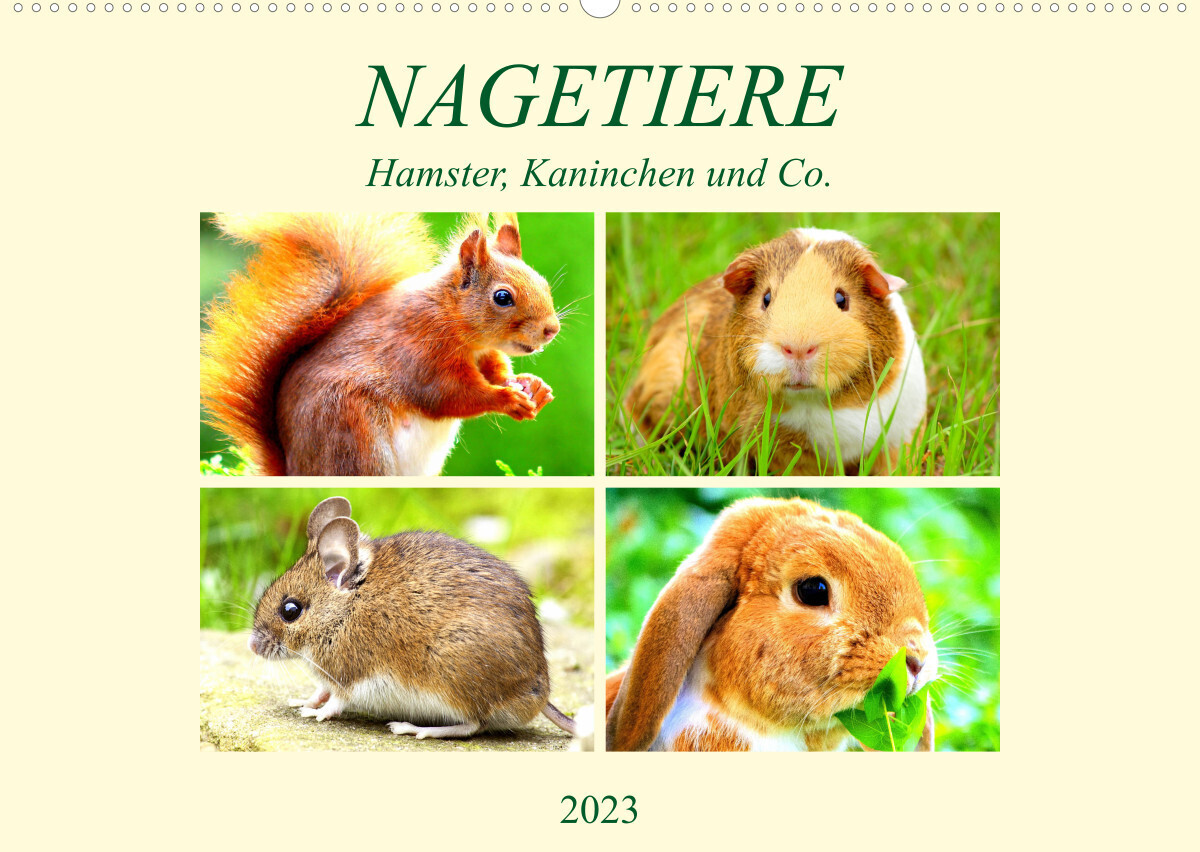 Nagetiere. Hamster, Kaninchen und Co. (Wandkalender 2023 DIN A2 quer)