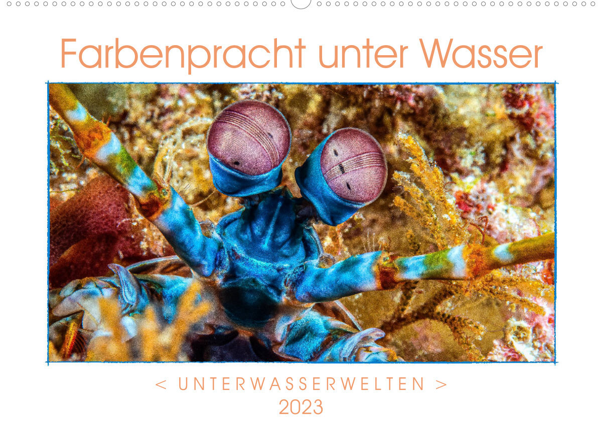 Farbenpracht unter Wasser (Wandkalender 2023 DIN A2 quer)