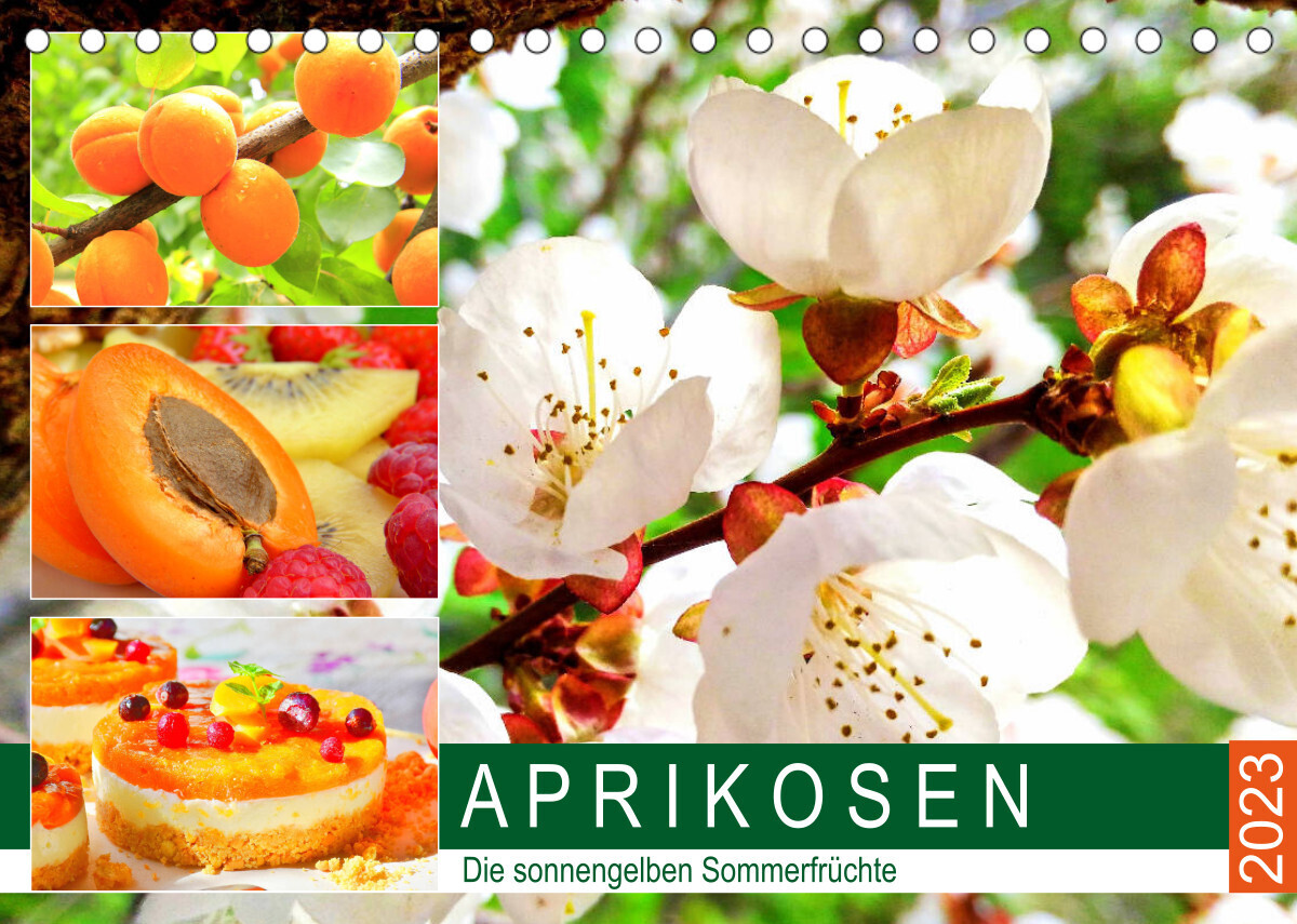 Aprikosen. Die sonnengelben Sommerfrüchte (Tischkalender 2023 DIN A5 quer)