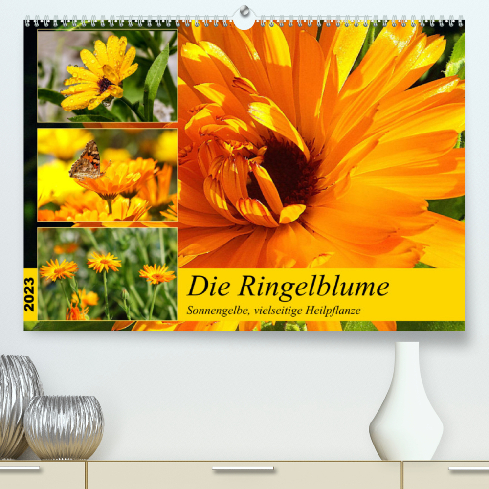 Die Ringelblume. Sonnengelbe, vielseitige Heilpflanze (Premium, hochwertiger DIN A2 Wandkalender 2023, Kunstdruck in Hochglanz)