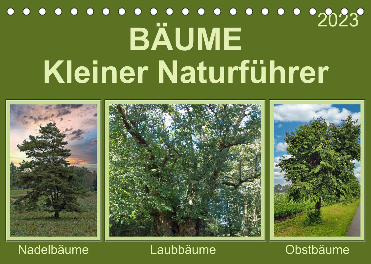 Bäume Kleiner Naturführer (Tischkalender 2023 DIN A5 quer)
