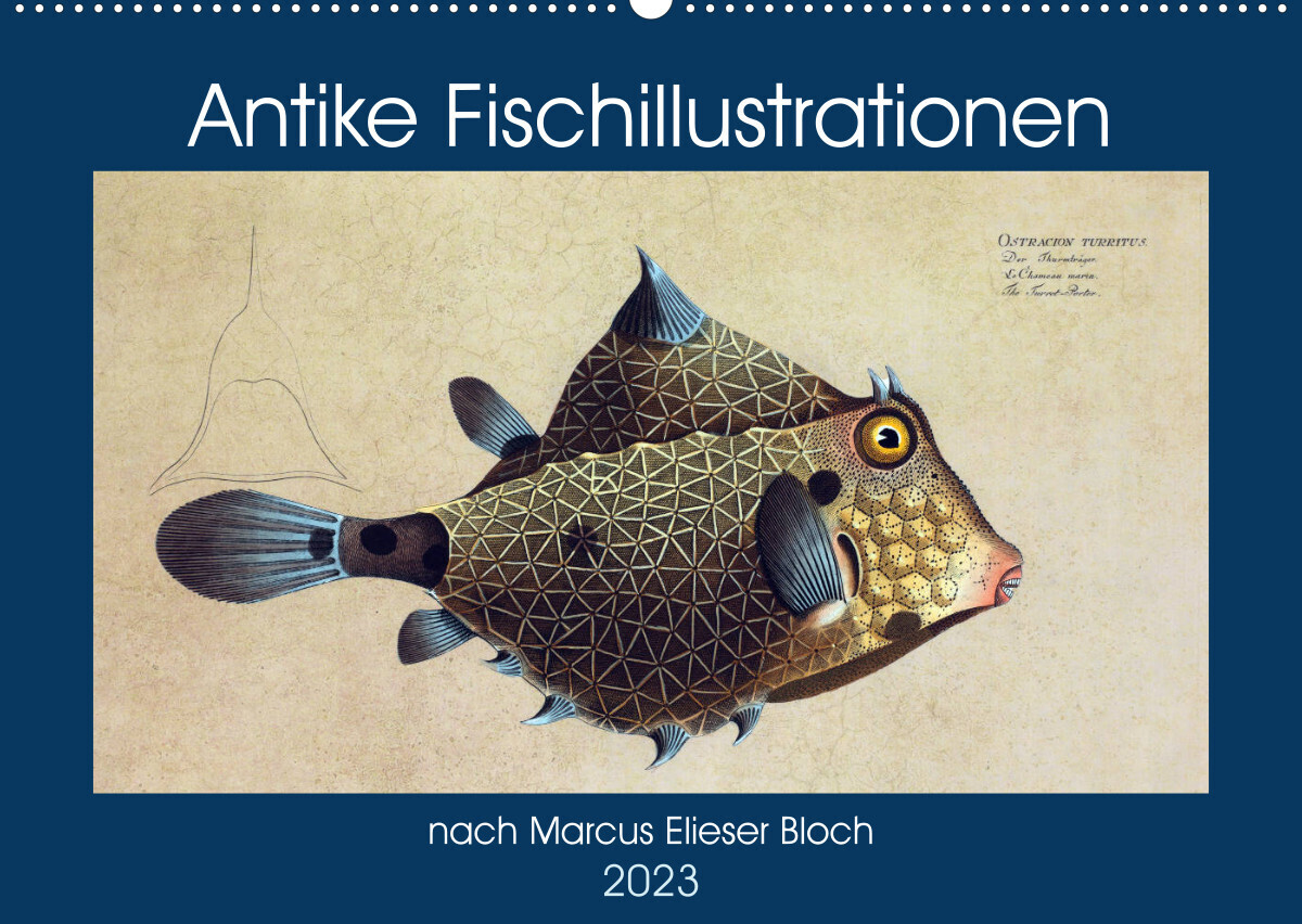 Antike Fischillustrationen nach Marcus Elieser Bloch (Wandkalender 2023 DIN A2 quer)