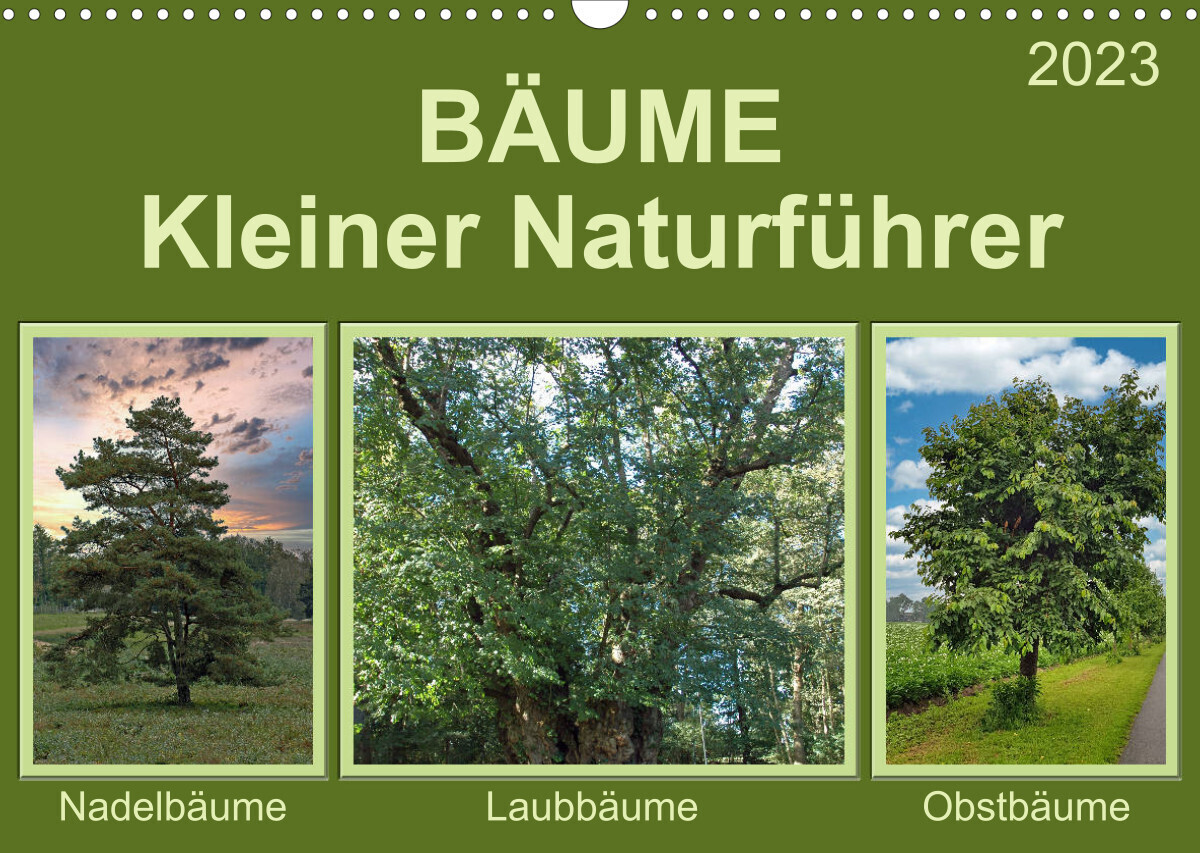Bäume Kleiner Naturführer (Wandkalender 2023 DIN A3 quer)