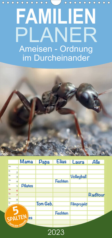 Familienplaner Ameisen - Ordnung im Durcheinander (Wandkalender 2023 , 21 cm x 45 cm, hoch)