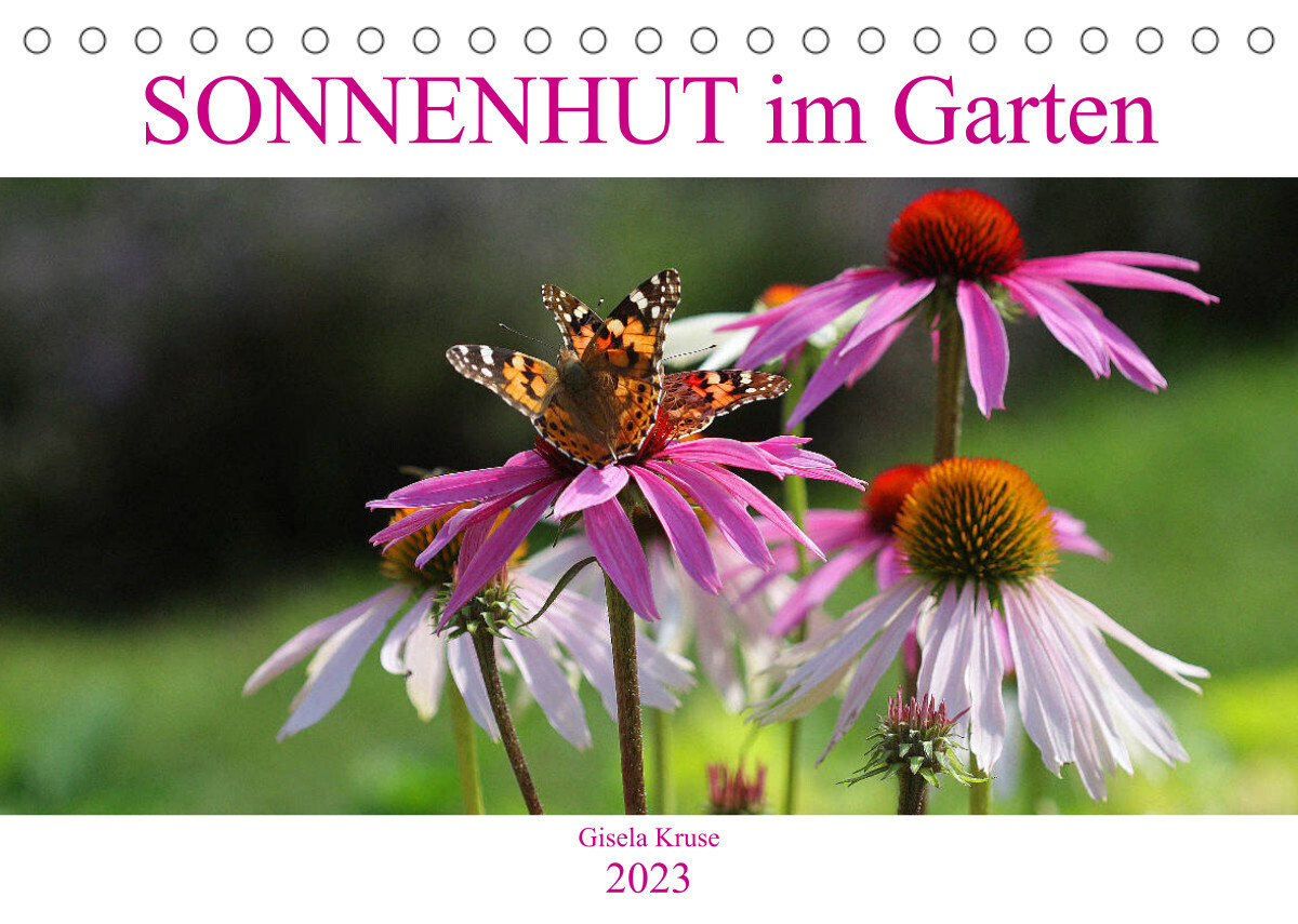 Sonnenhut im Garten (Tischkalender 2023 DIN A5 quer)