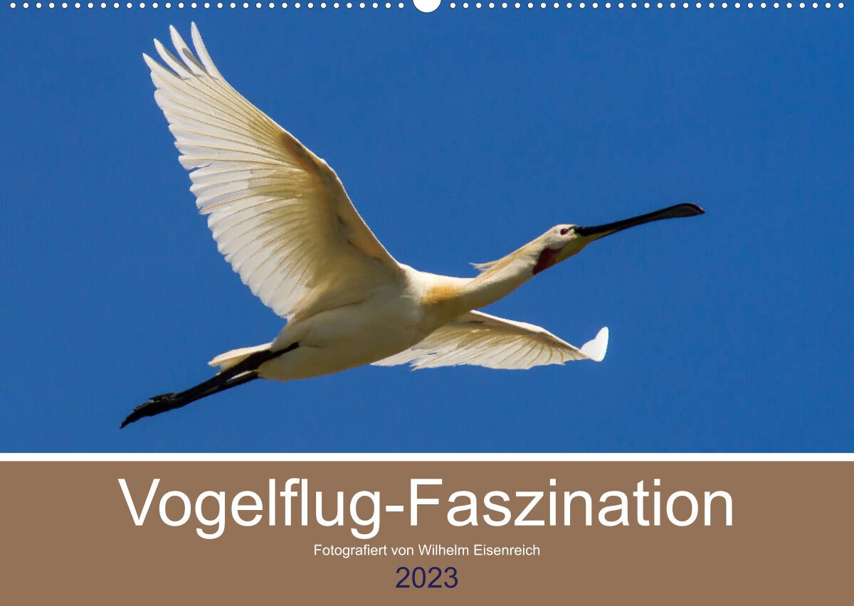 Vogelflug-Faszination (Wandkalender 2023 DIN A2 quer)