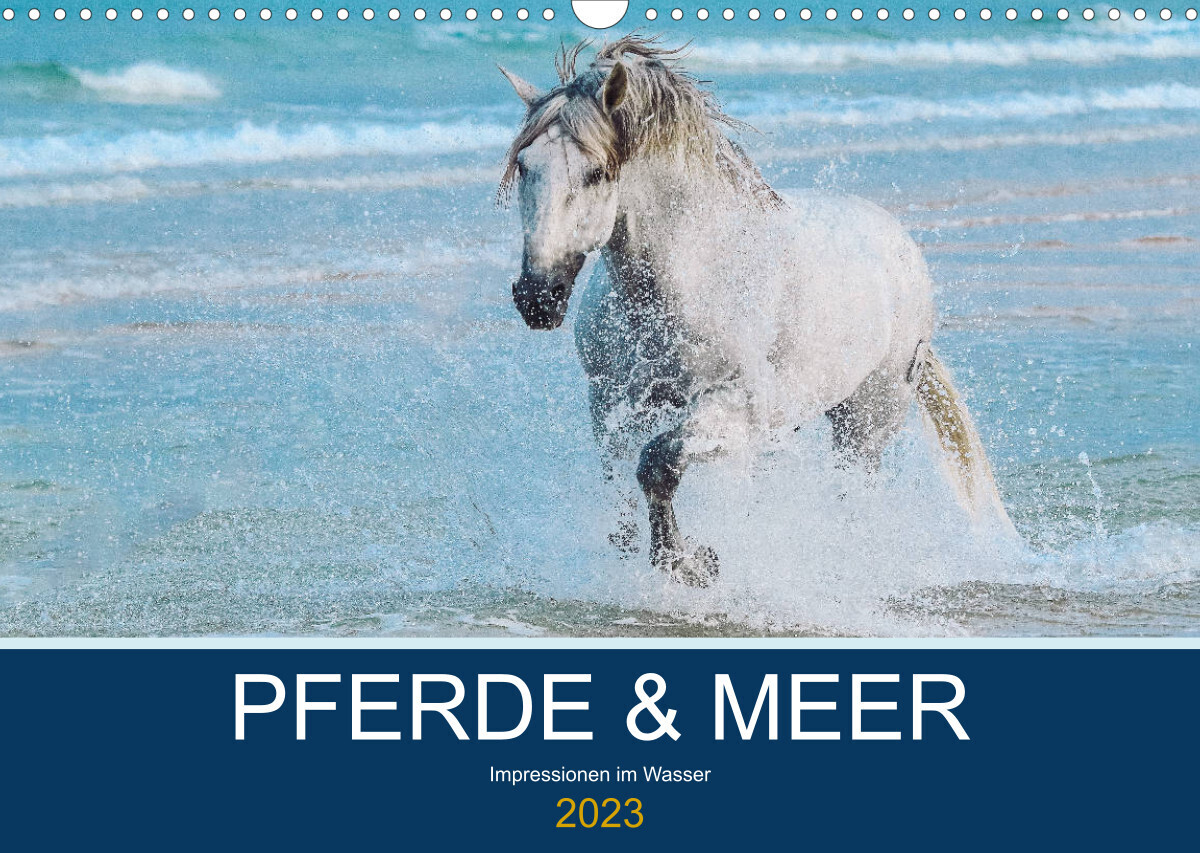 PFERDE & MEER (Wandkalender 2023 DIN A3 quer)