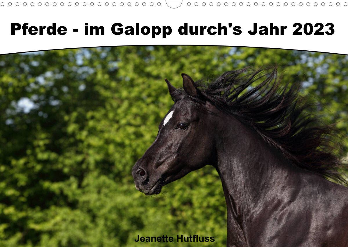 Pferde - im Galopp durch's Jahr 2023 (Wandkalender 2023 DIN A3 quer)
