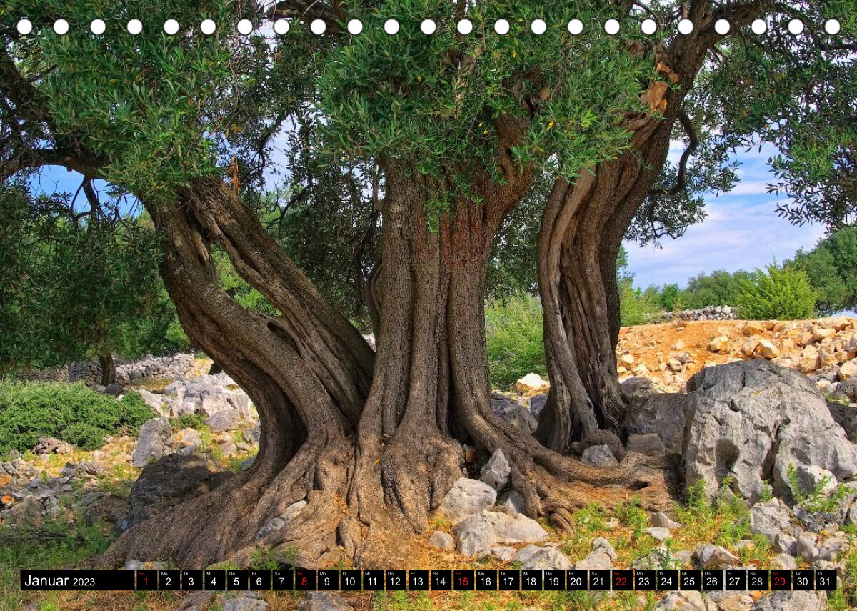 Kvarner Golf - Kroatien (Tischkalender 2023 DIN A5 quer)