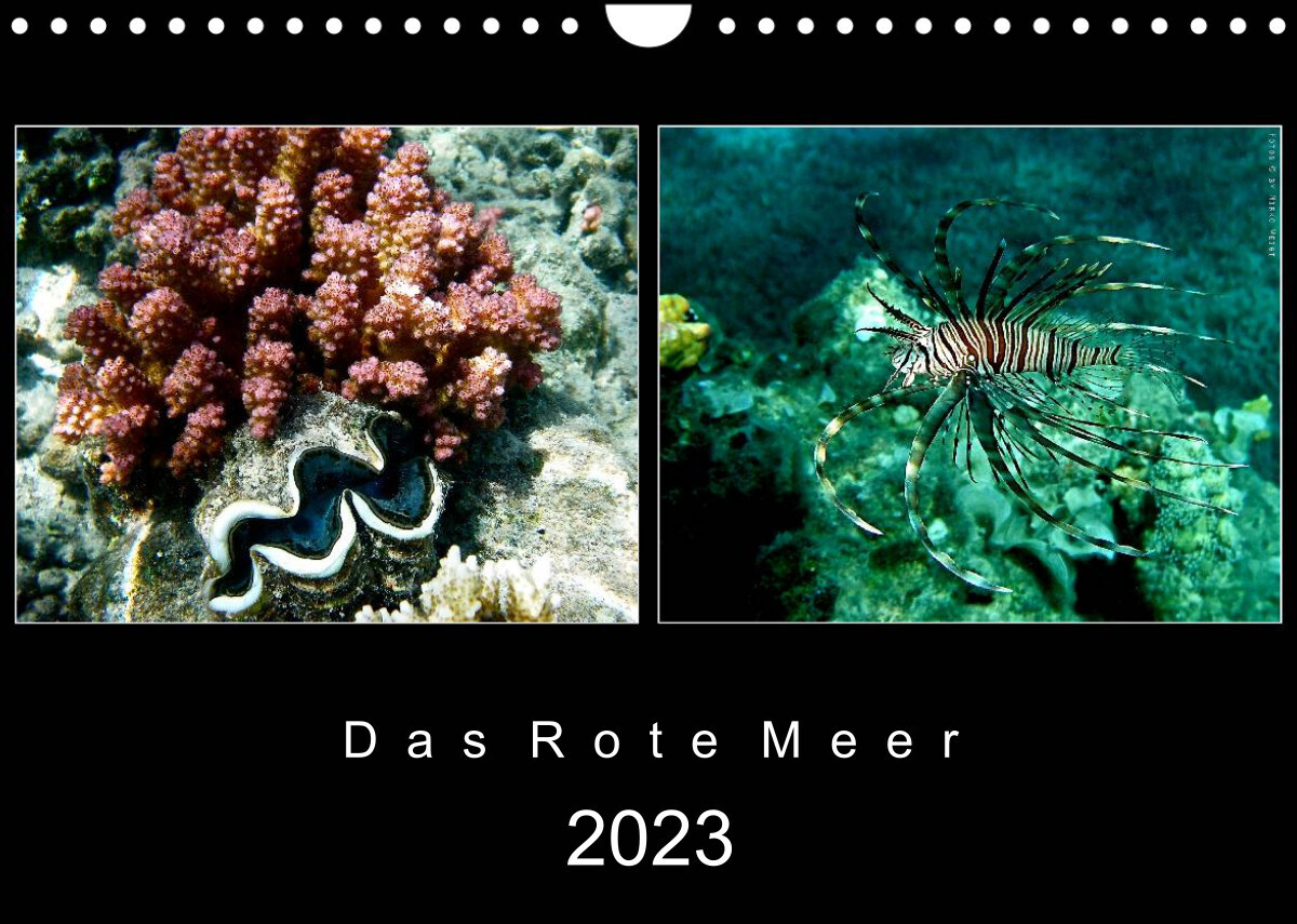 Das Rote Meer - 2023 (Wandkalender 2023 DIN A4 quer)