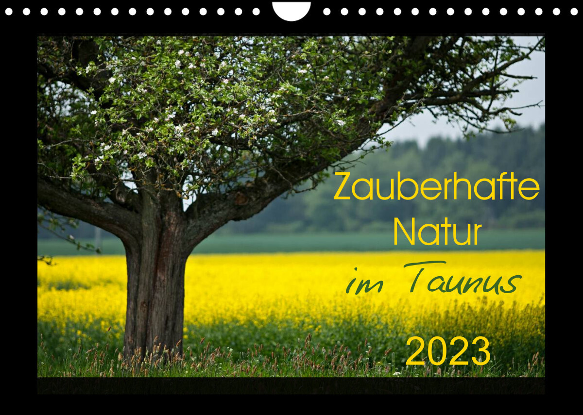 Zauberhafte Natur im Taunus (Wandkalender 2023 DIN A4 quer)