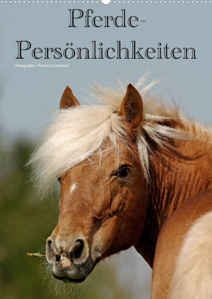 Pferde-Persönlichkeiten - ausdrucksstarke Gesichter verschiedener Pferderassen (Wandkalender 2023 DIN A2 hoch)