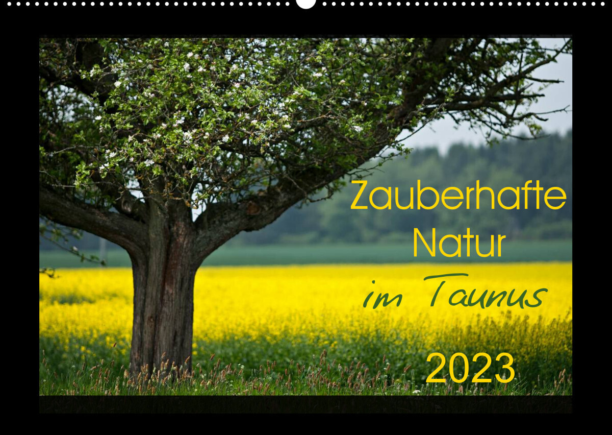 Zauberhafte Natur im Taunus (Wandkalender 2023 DIN A2 quer)