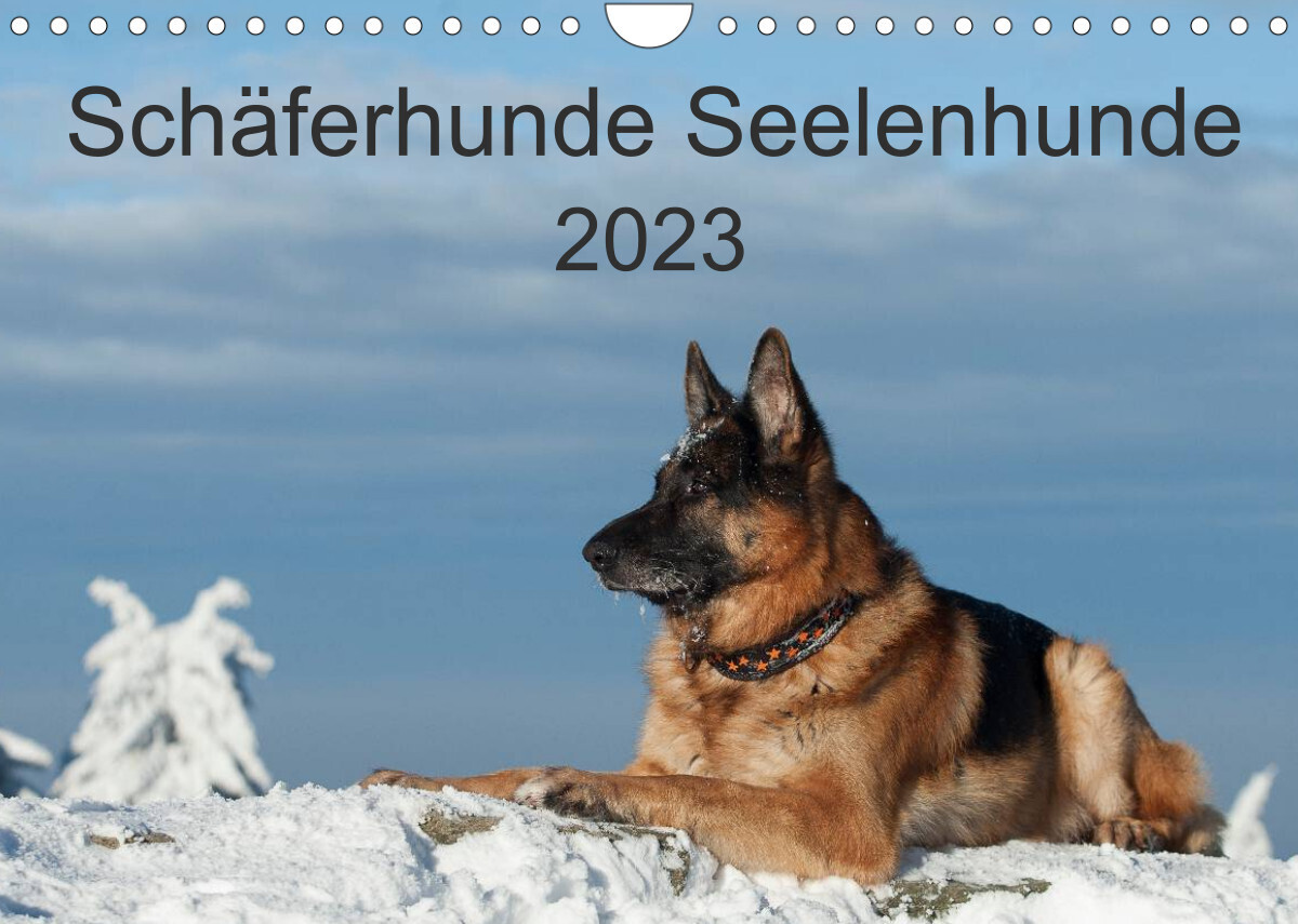 Schäferhunde SeelenhundeCH-Version  (Wandkalender 2023 DIN A4 quer)