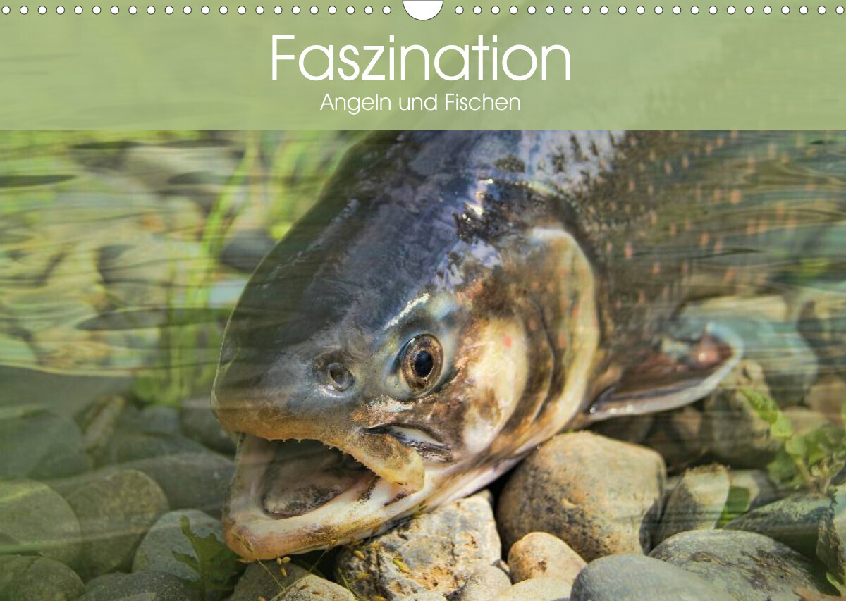Faszination Angeln und Fischen (Wandkalender 2023 DIN A3 quer)