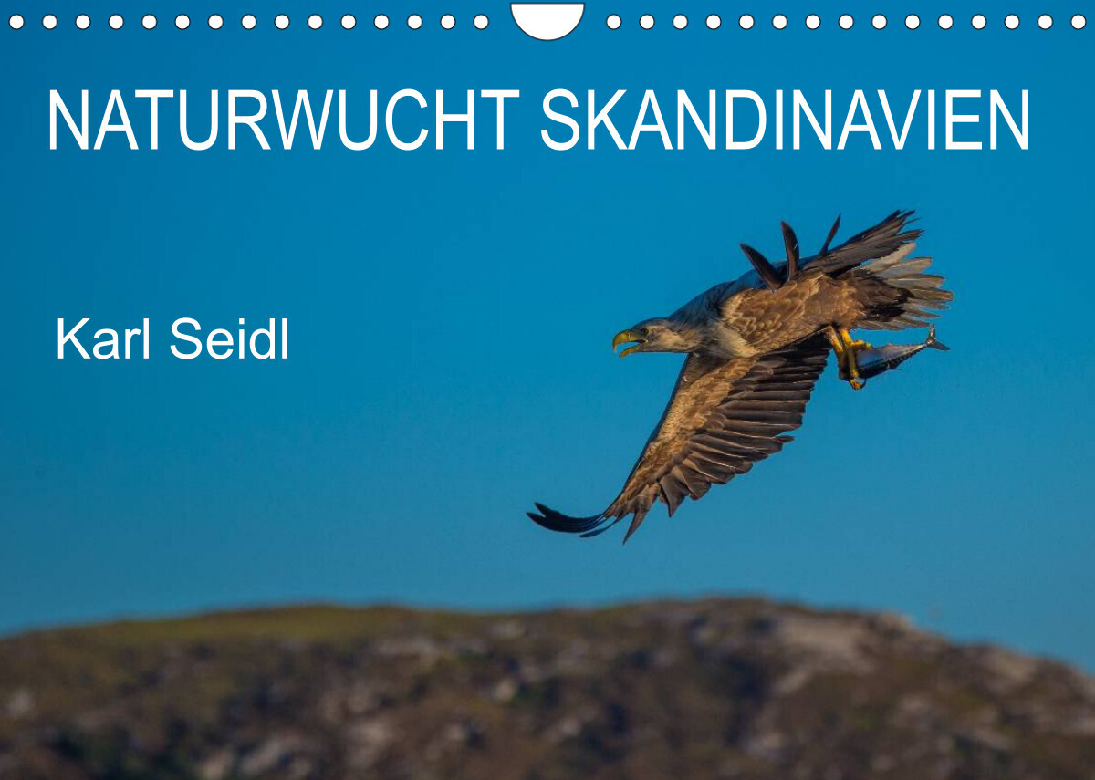 Naturwucht Skandinavien (Wandkalender 2023 DIN A4 quer)
