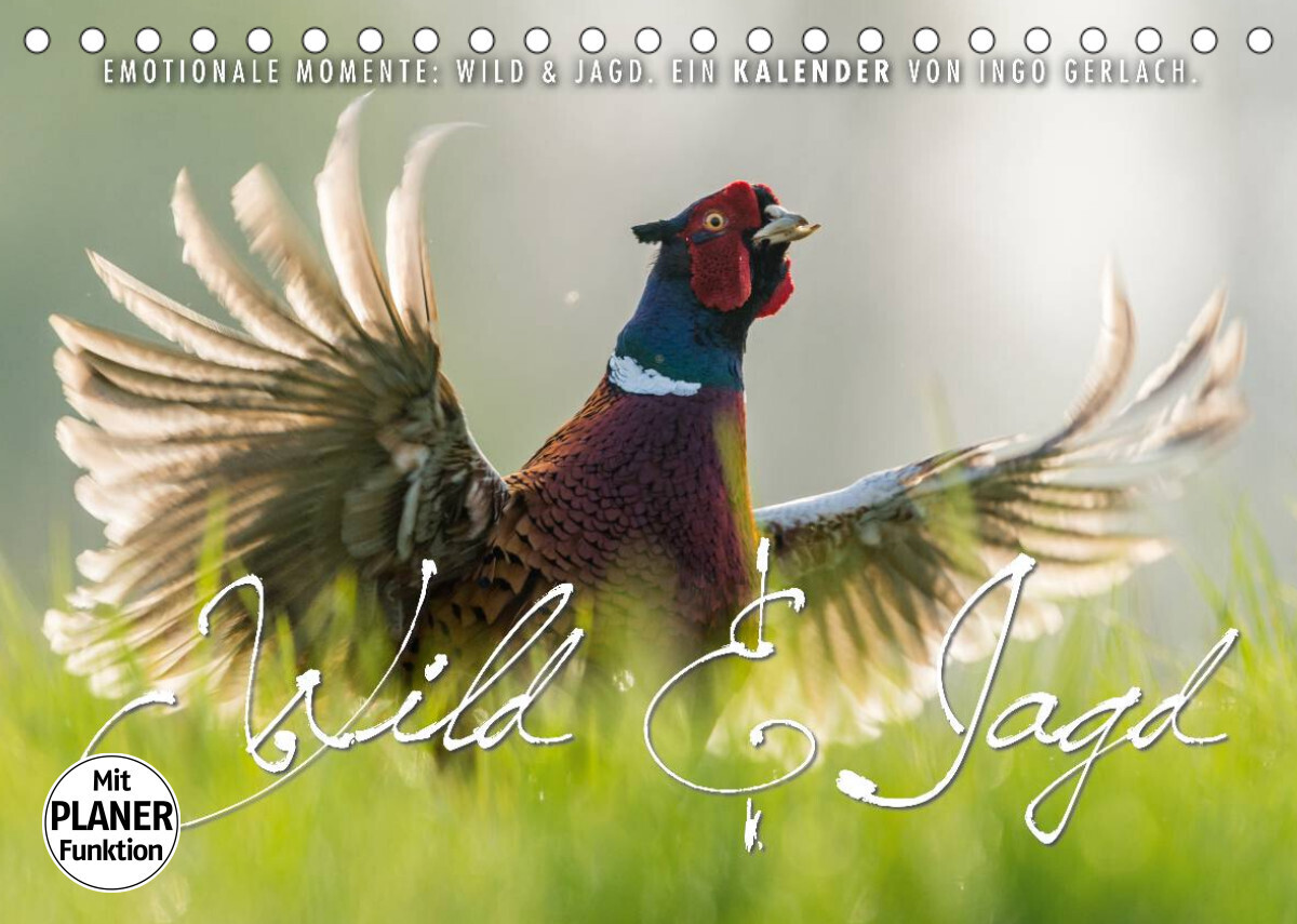 Emotionale Momente: Wild und Jagd. (Tischkalender 2023 DIN A5 quer)