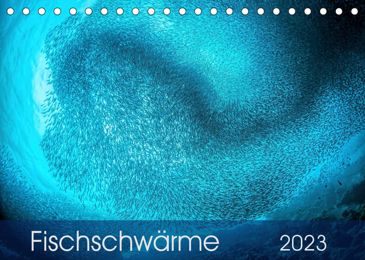 Fischschwärme (Tischkalender 2023 DIN A5 quer)