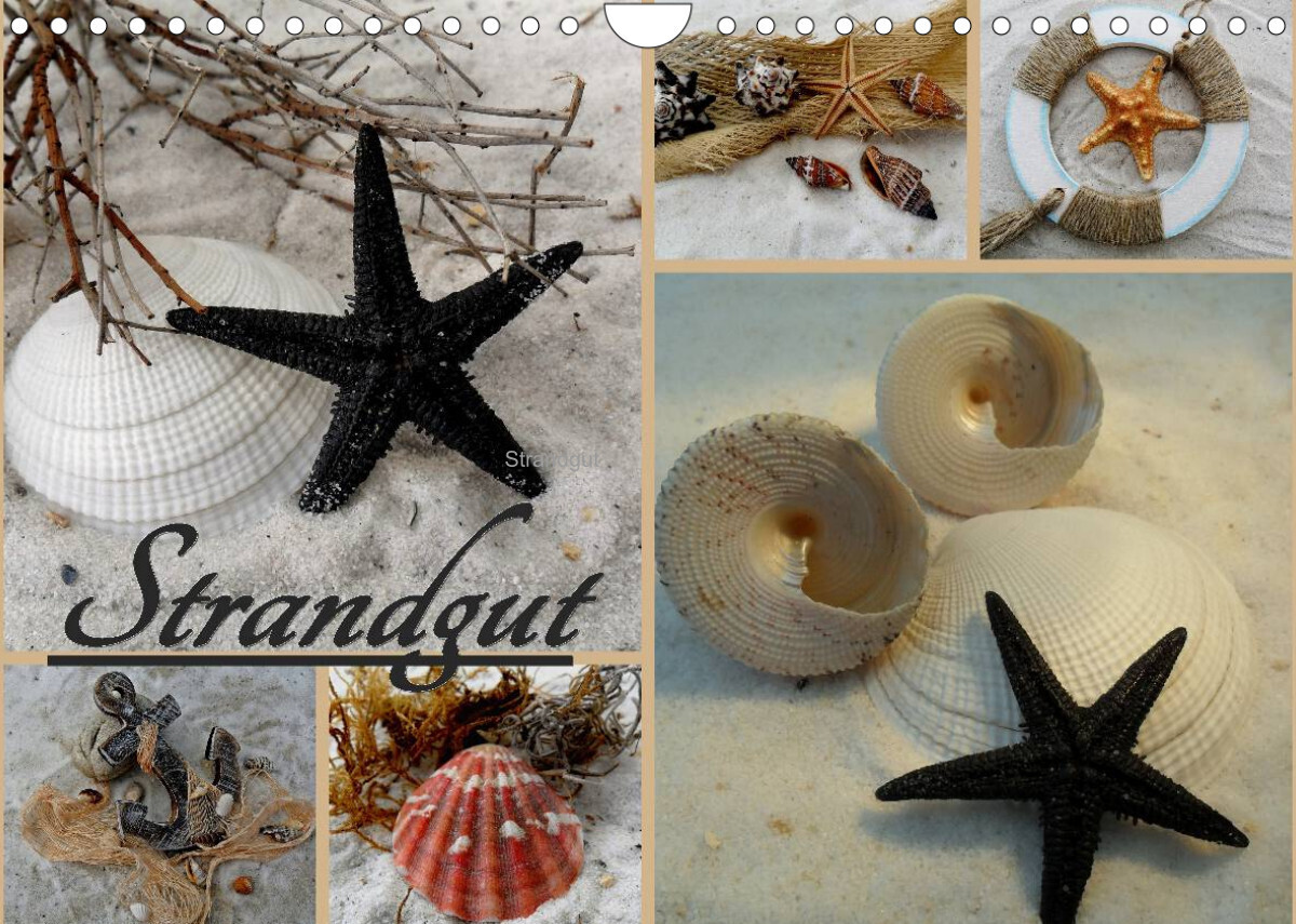 Strandgut (Wandkalender 2023 DIN A4 quer)