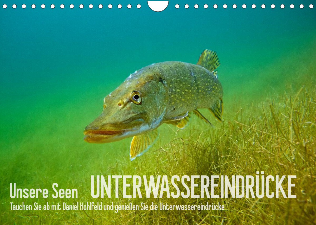 Unsere Seen (Wandkalender 2023 DIN A4 quer)