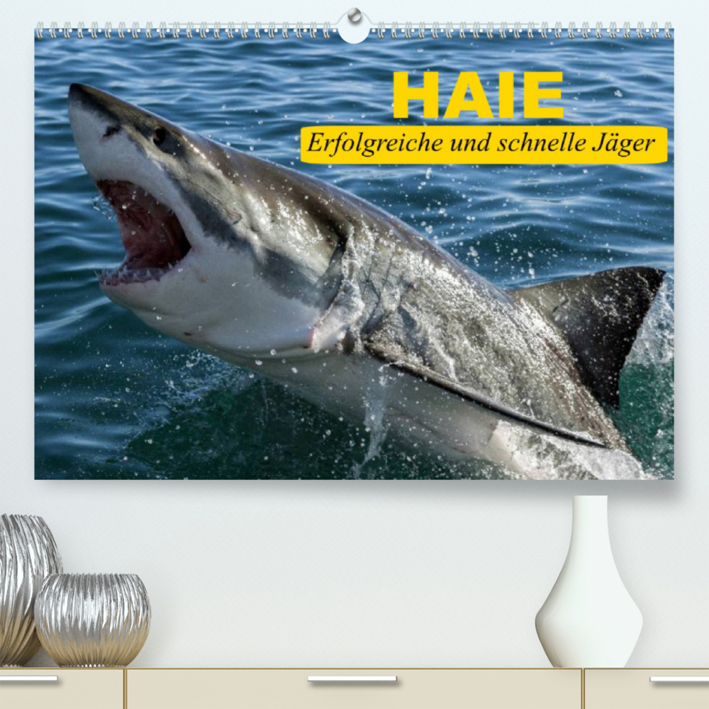 Haie. Erfolgreiche und schnelle Jäger (Premium, hochwertiger DIN A2 Wandkalender 2023, Kunstdruck in Hochglanz)