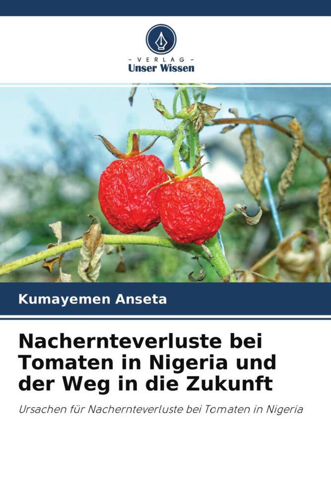 Nachernteverluste bei Tomaten in Nigeria und der Weg in die Zukunft