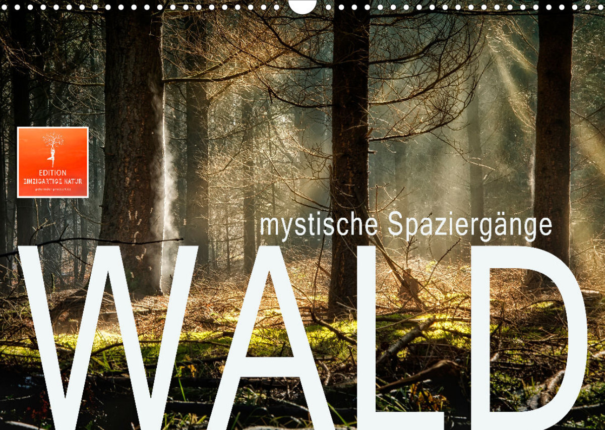 Wald - mystische Spaziergänge (Wandkalender 2023 DIN A3 quer)