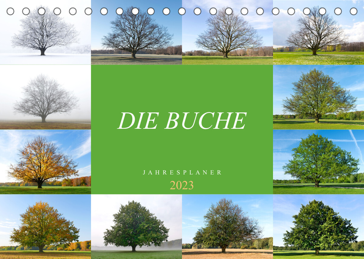 Die Buche: Jahresplaner 2022 (Tischkalender 2023 DIN A5 quer)