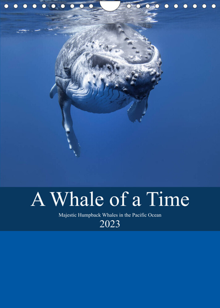 A Whale Of A Time (Wall Calendar 2023 DIN A4 Portrait)
