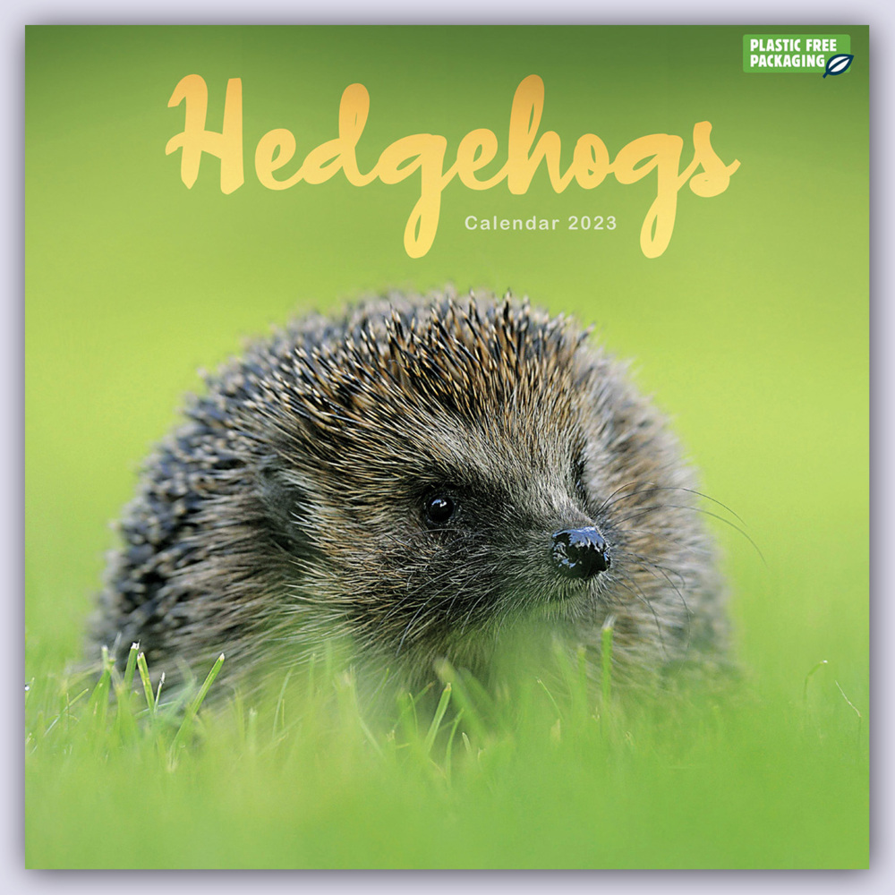 Hedgehogs - Igel 2023