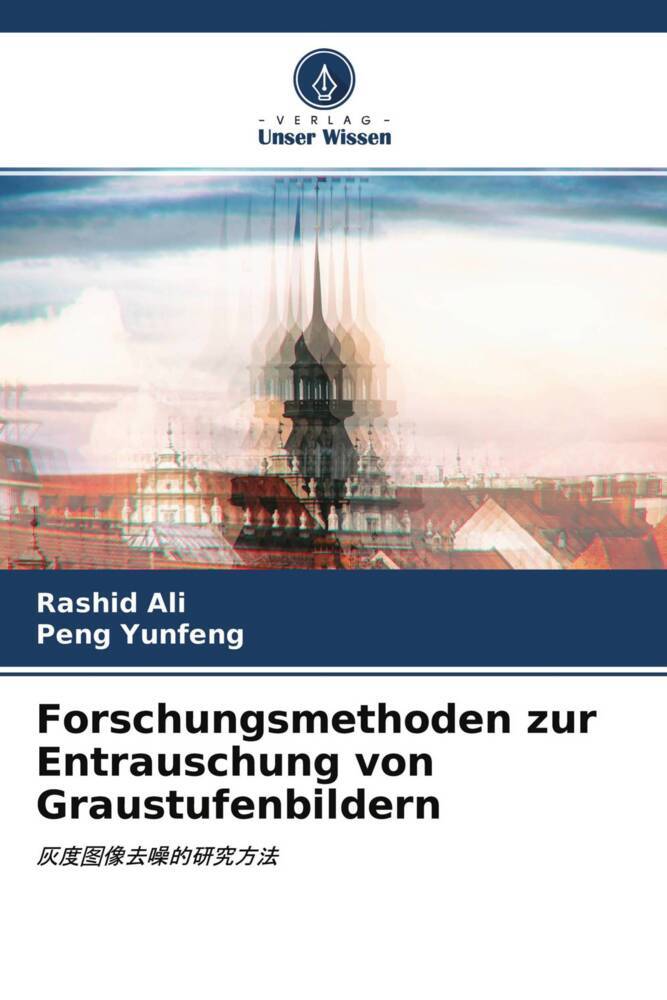 Forschungsmethoden zur Entrauschung von Graustufenbildern