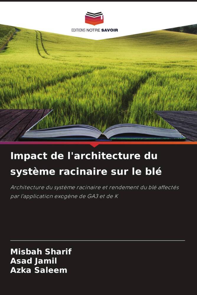 Impact de l'architecture du système racinaire sur le blé
