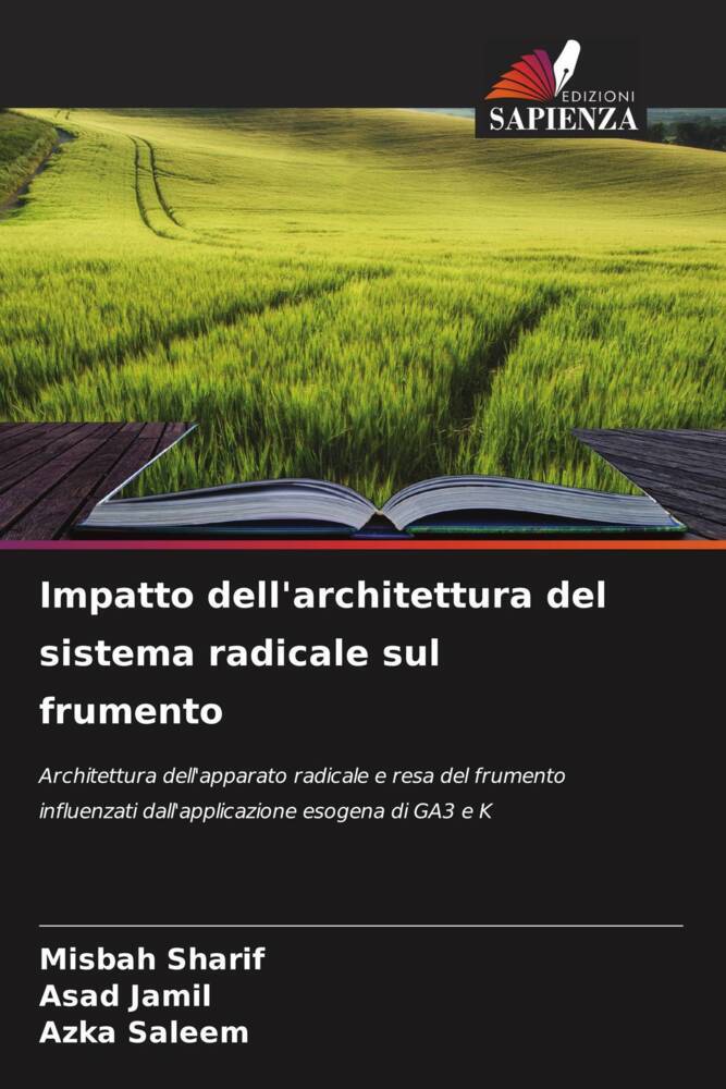 Impatto dell'architettura del sistema radicale sul frumento