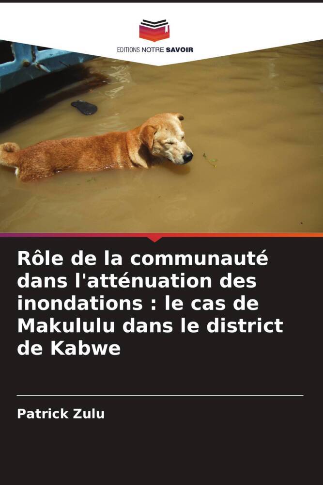 Rôle de la communauté dans l'atténuation des inondations : le cas de Makululu dans le district de Kabwe